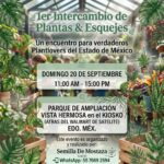 Intercambio de plantas Satélite