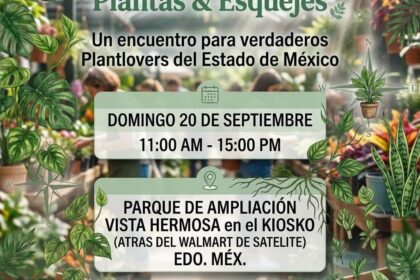 Intercambio de plantas Satélite