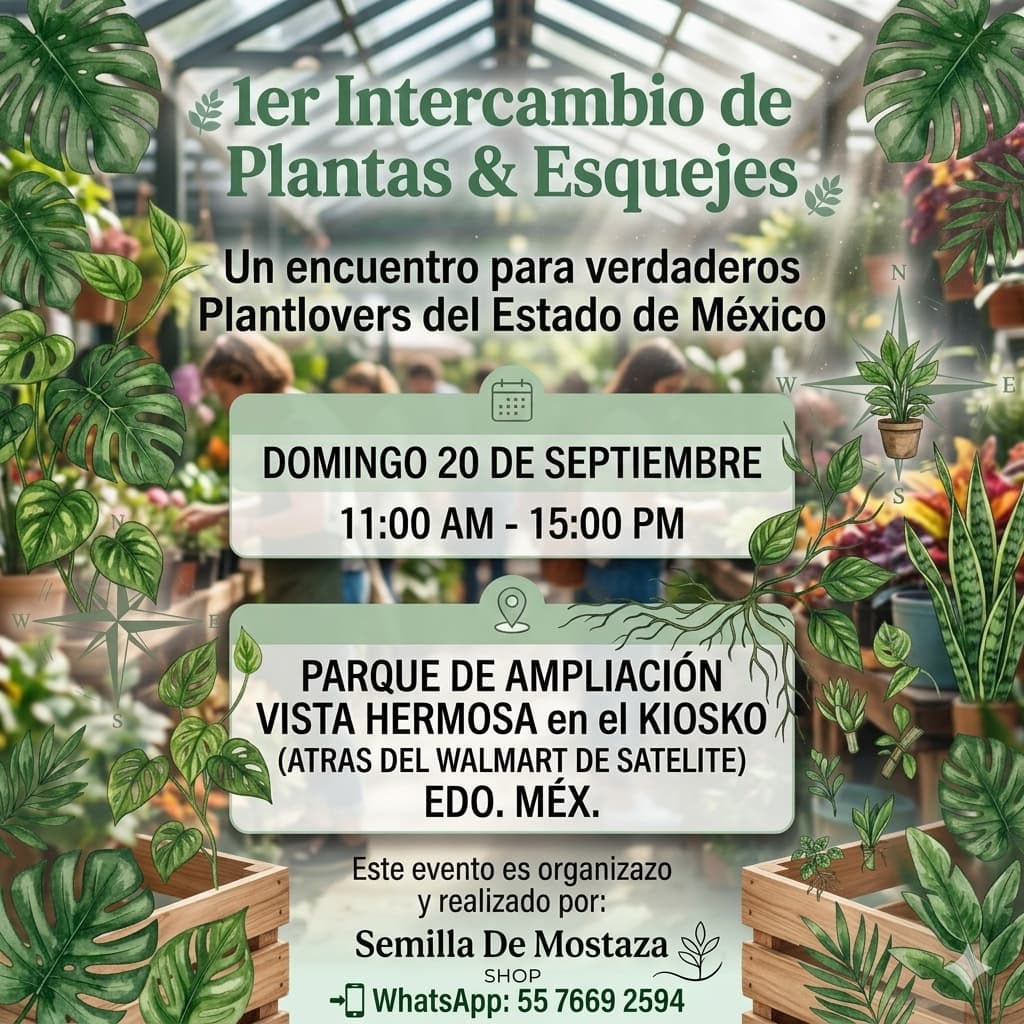 Intercambio de plantas Satélite