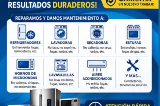 Reparacion de electrodomesticos en ciudad satelite