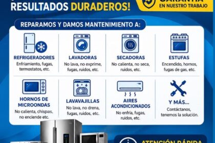 Reparacion de electrodomesticos en ciudad satelite
